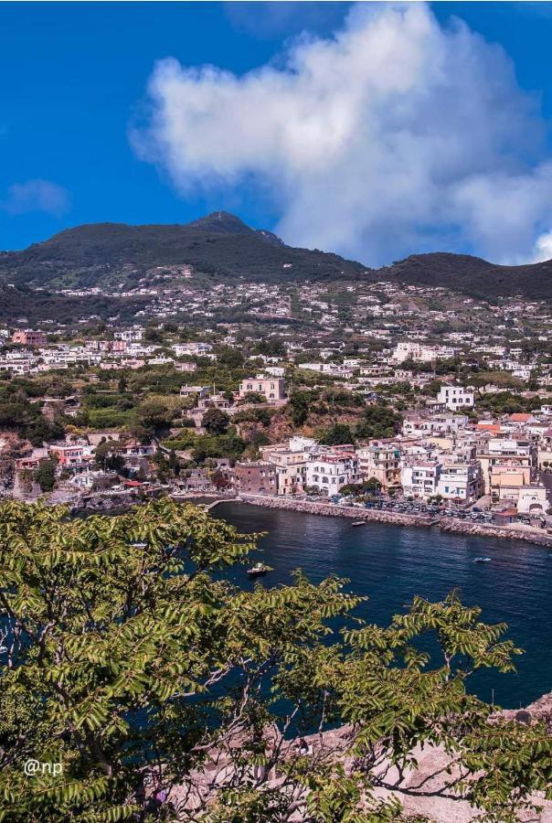 Bed & Breakfast La Finestra Sul Mare Ischia